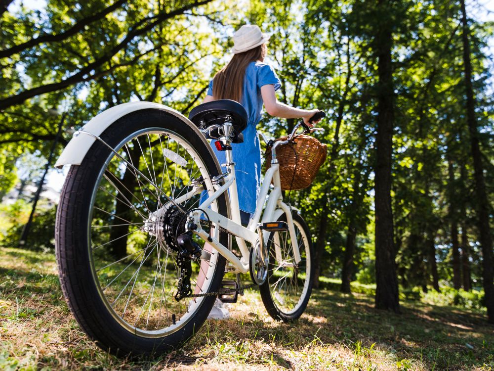 tour em portugues valencia